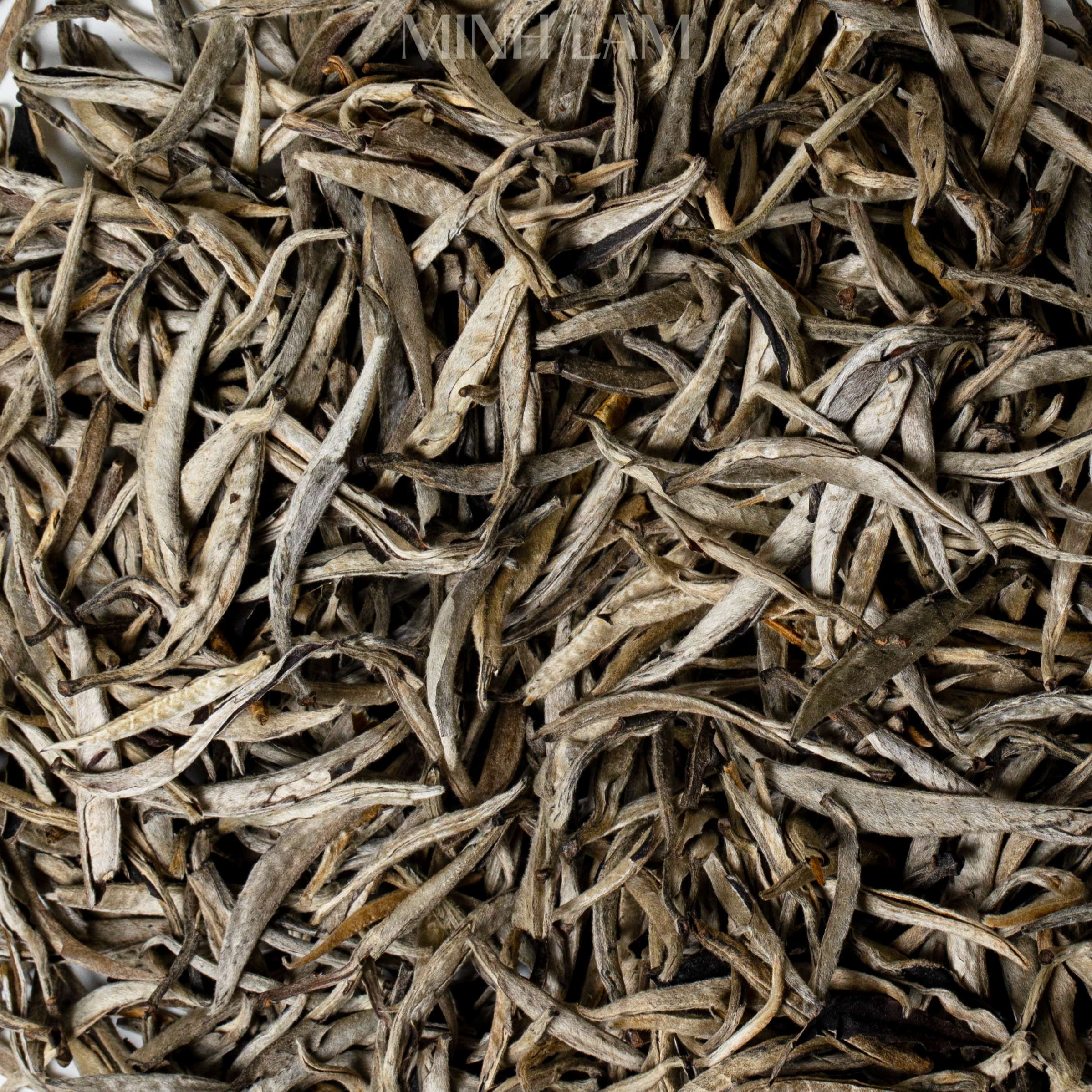 White Tea